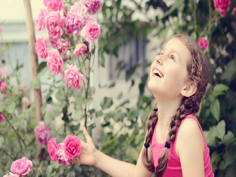 <strong>试管加热食物（试管倾斜后高度）</strong>