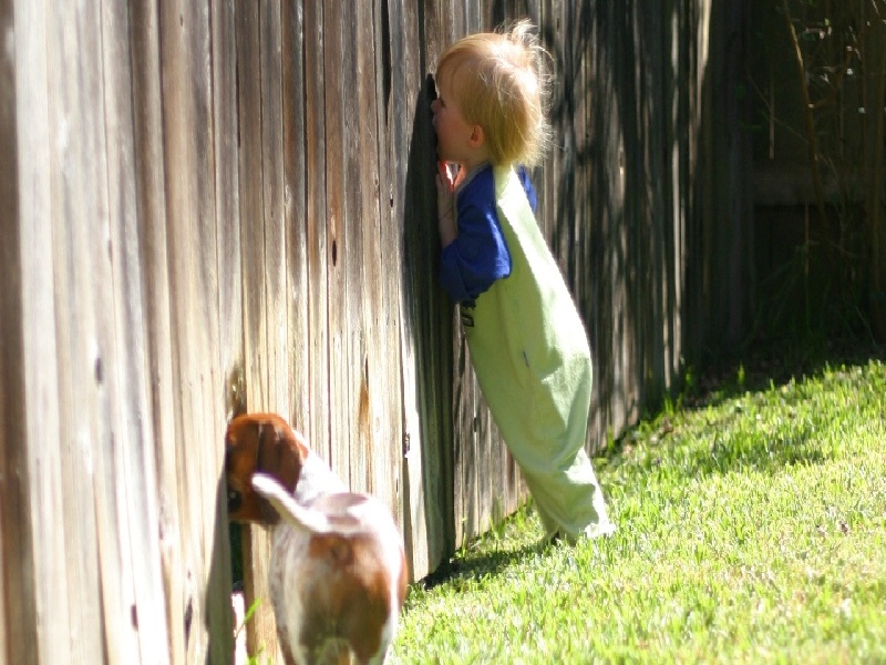 试管 胚胎移植 出血（试管怀孕生了后）